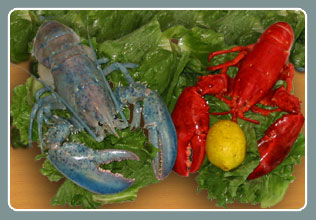 The best PEI lobster and seafood